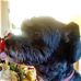 Raymond Ballantyne - Facebook