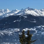 Raymond Balmer - @raybalgilet - Instagram