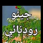RayzAli Balocz - Facebook