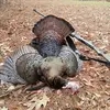 ray barbour - @ray.barbour - TikTok