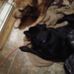 Raymond Purtell - Facebook