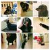 Ray Barger - Facebook