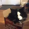 Raymond Baril - @raymond.baril - TikTok