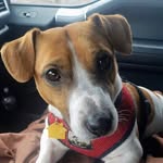 Ray Barkley - @raybarkely - Instagram
