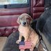 Ray Barnhill - Facebook