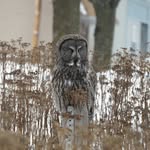 Ray Barone - @ggow27189 - Instagram