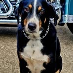 Ray Barr - Facebook