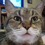Ray Barrington and Cat - Facebook