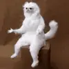 Ray Barrow - @ray.barrow - TikTok