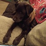 Ray Baruth - @baruthray - Instagram