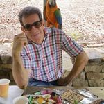 Ray Bass - @bass7953 - Instagram