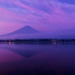 Ray Bastian - @ray.bastian - Instagram