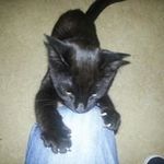 Ray Bates - @ray.bates.581 - Instagram