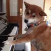 ray_bauer - @ray_bauer - TikTok