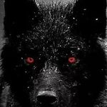 Raymond Baumgardner - @baumgardnerraymond - Instagram