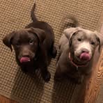 Ray Baur - Facebook
