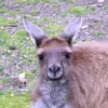 Raymond Bayles - @ray.bayles - TikTok