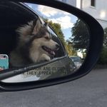 Bayley Ray - @bayley_.ray_cuteness - Instagram