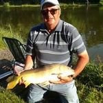 Ray Bayliss - @baylissray - Instagram