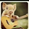 thanksraybazamaza123 - @thanksraybazamaza123 - TikTok