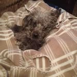 Ray Beadle - @ray.beadle.5 - Instagram