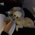 Ray Beattie - @beattieray46 - Instagram