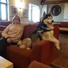 Raymond Beattie - @raymond.beattie - TikTok