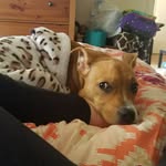Daisy Rayne - @daisy_rayne_beckwith - Instagram