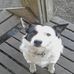 Raymond Beeson - Facebook