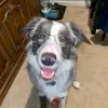 Ray Behling - @raybehling - TikTok