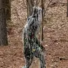 Ray bellew - @ray.bellew - TikTok