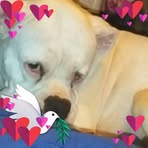 Ray Belton - Facebook