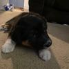 Ray Bergin741 - @sage._.2021.2.0 - TikTok