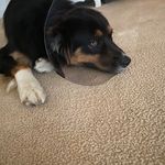 Ray Bergin - @bergin_ray - Instagram