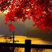 Ray Bergy - Facebook