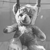 bertrandray - @bertrandray - TikTok