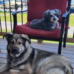 Ray Blanchard - Facebook