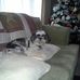 Ray Blank - Facebook