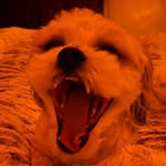 @ray_blanken - Instagram