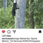 danny ray bledsoe - @dannyraywitt - Instagram