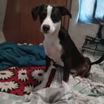 Ray Bledsoe - @jimbledsoe6 - Instagram