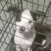 Ray Bledsoe - @ray.bledsoe5 - TikTok