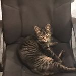 Ray Bliss - @raybliss_ - Instagram
