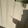 ray_blunt - @ray_blunt - TikTok