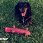 Raymond Boggs - @rayboggs1330 - Instagram