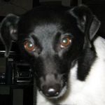 Ray Bolger - @ray.bolger.79 - Instagram