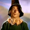 ray_bolger - @ray_bolger - TikTok