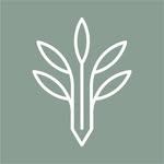 sahar behnezhad - @raybon_design - Instagram