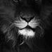 Ray Bonner - Facebook