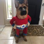Ray Boyce - @raybo14comcastnet - Instagram